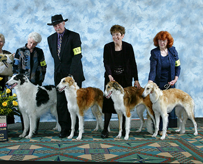 2005 Futurity Stud Dog Class - 1st