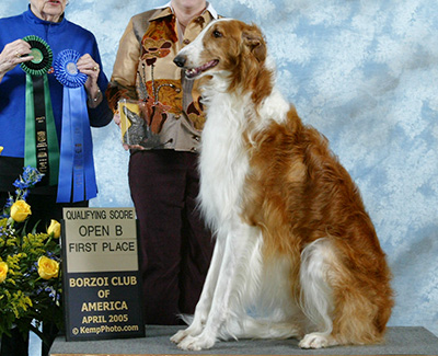 2005 Obedience Award of Merit