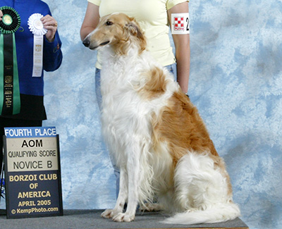 2005 Obedience Award of Merit