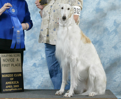 2005 Obedience Novice Class 'A' - 1st