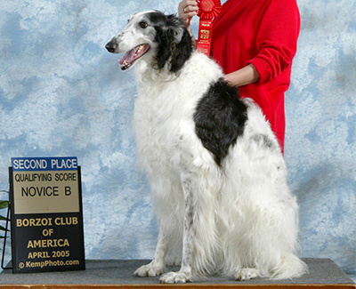 2005 Obedience Novice Class 'B' - 2nd