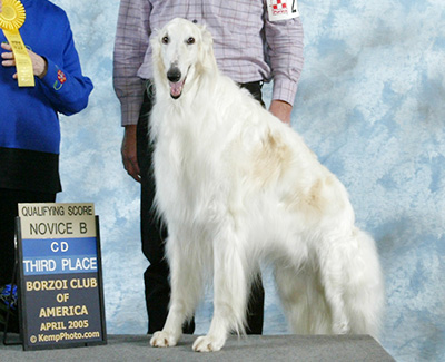 2005 Obedience Novice Class 'B' - 3rd