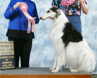 2005 Obedience Veteran Class - 1st