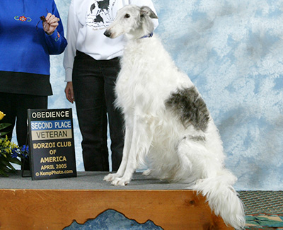 2005 Obedience Veteran Class - 2nd