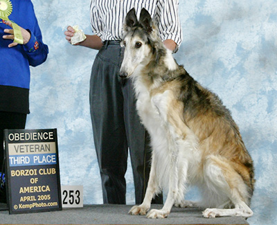 2005 Obedience Veteran Class - 3rd