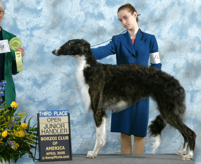 2005 Open Junior Showman Class - 3rd