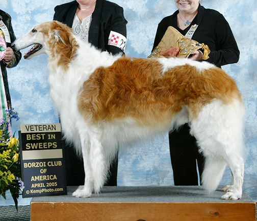 2005 Best in Veteran Sweepstakes