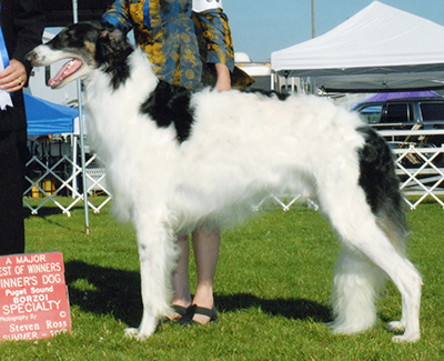 2006 Dog, Open - 4th