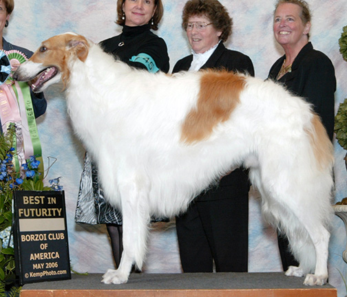 2006 Dog, 12 months and under 18 - 3rd