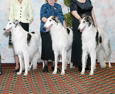 2006 Futurity Brood Bitch Class - 1st