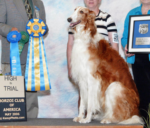 2006 High in Obedience Trial