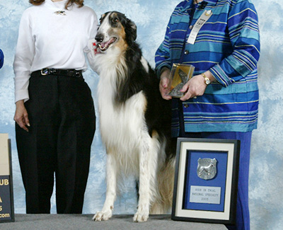 2006 Obedience Award of Merit