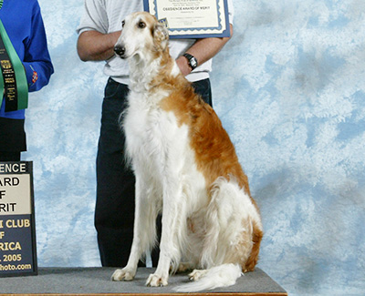 2006 Obedience Award of Merit