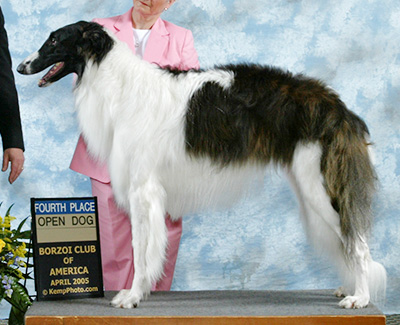 2006 Obedience Novice Class 'B' - 3rd