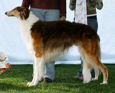 2007 Dog, Open - 2nd