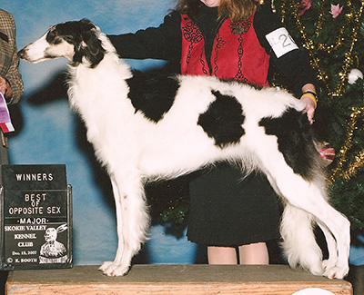 2007 Futurity Bitch, 6 months and under 9 - 4th