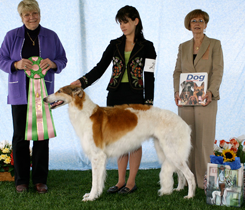 2007 Best Junior Showman