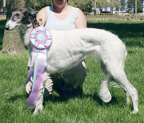 2007 LGRA Best of Breed