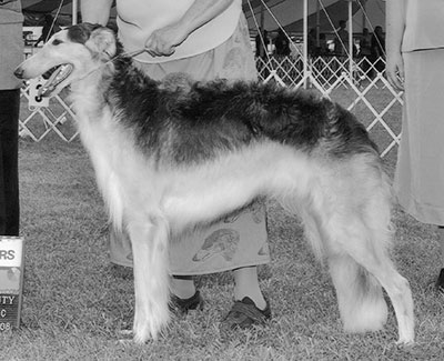 2007 Obedience Pre-Novice Class 'A' - 4th