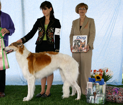 2008 Best Junior Showman