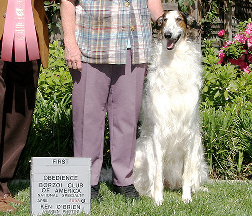 2008 Obedience Pre-Novice Class - 1st