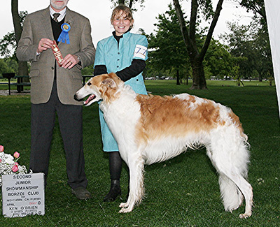 2008 Open Intermediate Junior Showman Class - 1st