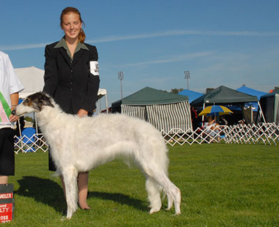 2008 Open Senior Junior Showman Class - 2nd