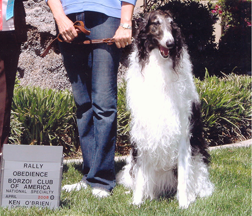 2008 Obedience Pre-Novice Class - 3rd