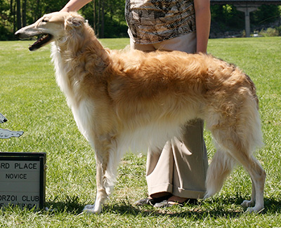 2009 Dog, Novice - 3rd