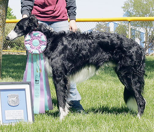 2009 LGRA Best of Breed