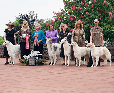 2009 Stud Dog Class - 1st