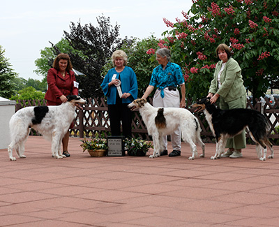 2009 Stud Dog Class - 4th