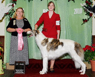 2010 Open Junior Showman Class - 1st