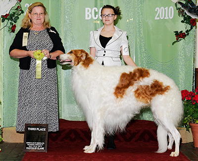 2010 Open Junior Showman Class - 3rd