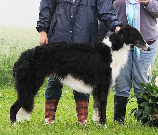 2010 LGRA Best of Breed