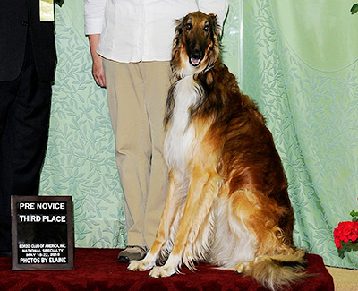 2019 Obedience Beginner Novice Class 'B' - 3rd