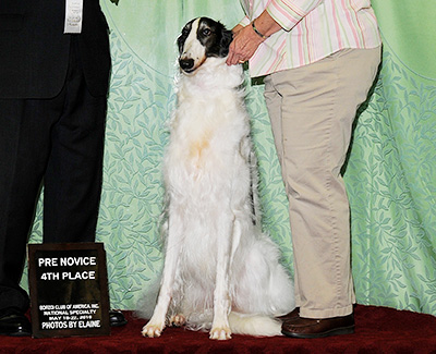 2019 Obedience Beginner Novice Class 'B' - 4th