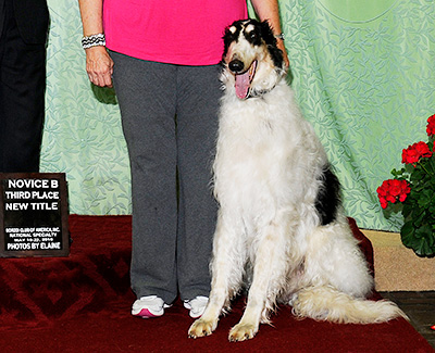 2010 Obedience Novice Class 'B' - 3rd
