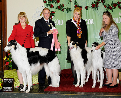 2010 Stud Dog Class - 1st