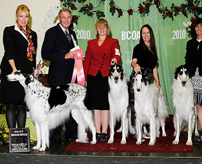 2010 Stud Dog Class - 4th