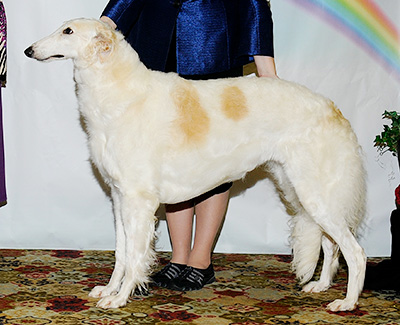 2011 Award of Merit