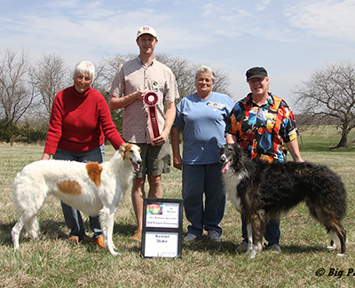 2011 ASFA Lure Coursing Veteran 2nd