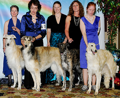 2011 Futurity Stud Dog Class - 1st