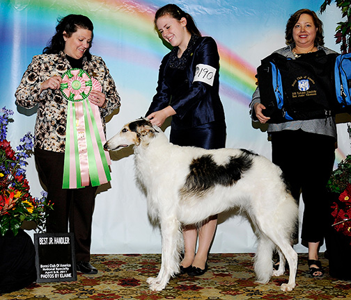 2011 Best Junior Showman