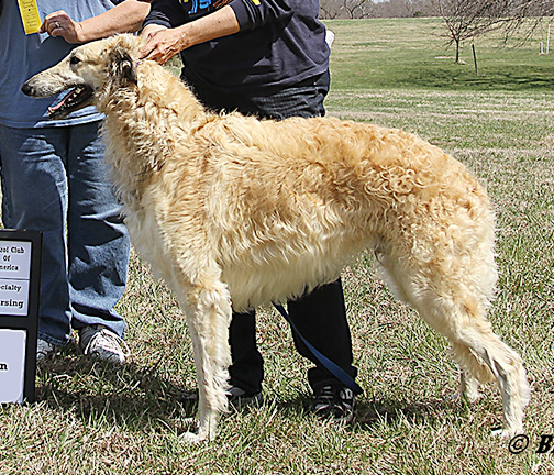 2011 LGRA Best of Breed