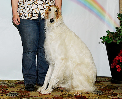 2011 Obedience Award of Merit