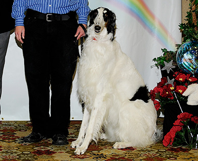 2011 Obedience Award of Merit