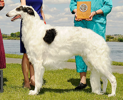 1992 Best Bred By Exhibitor In Specialty