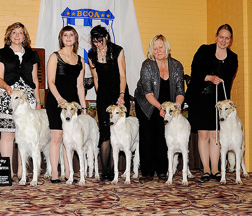 2012 Futurity Brood Bitch Class - 1st