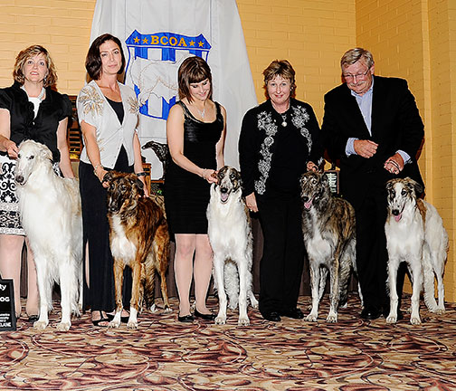 2012 Futurity Stud Dog Class - 1st